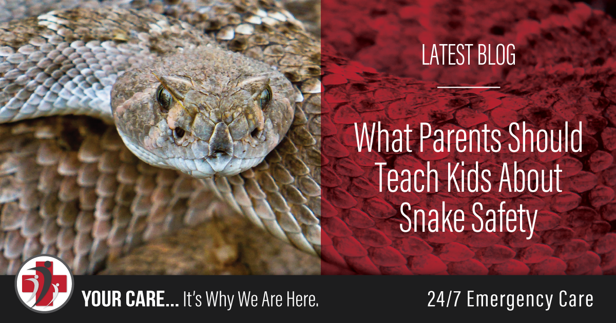 It’s Rattlesnake Season in Arizona: What Parents Should Teach Kids About Snake Safety